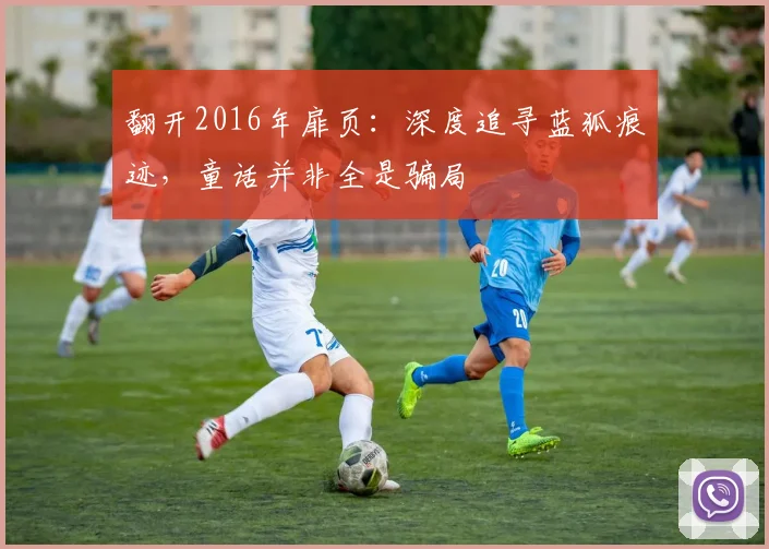 翻开2016年扉页：深度追寻蓝狐痕迹，童话并非全是骗局